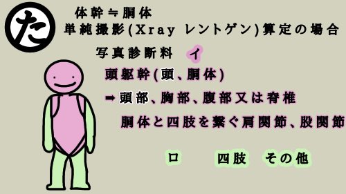躯幹