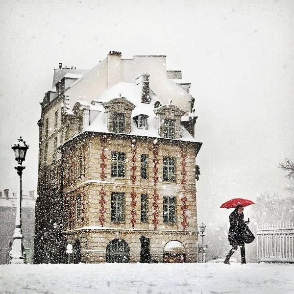 art4eva_'s tweet photo. © Christophe Jacrot https://t.co/AJrxqRo6Za