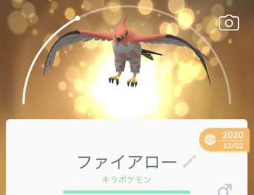 3月の ポケモンgoコミュニティ デイ はヤヤコマ トレーナーバトル的にはガチ案件 ロケットニュース24