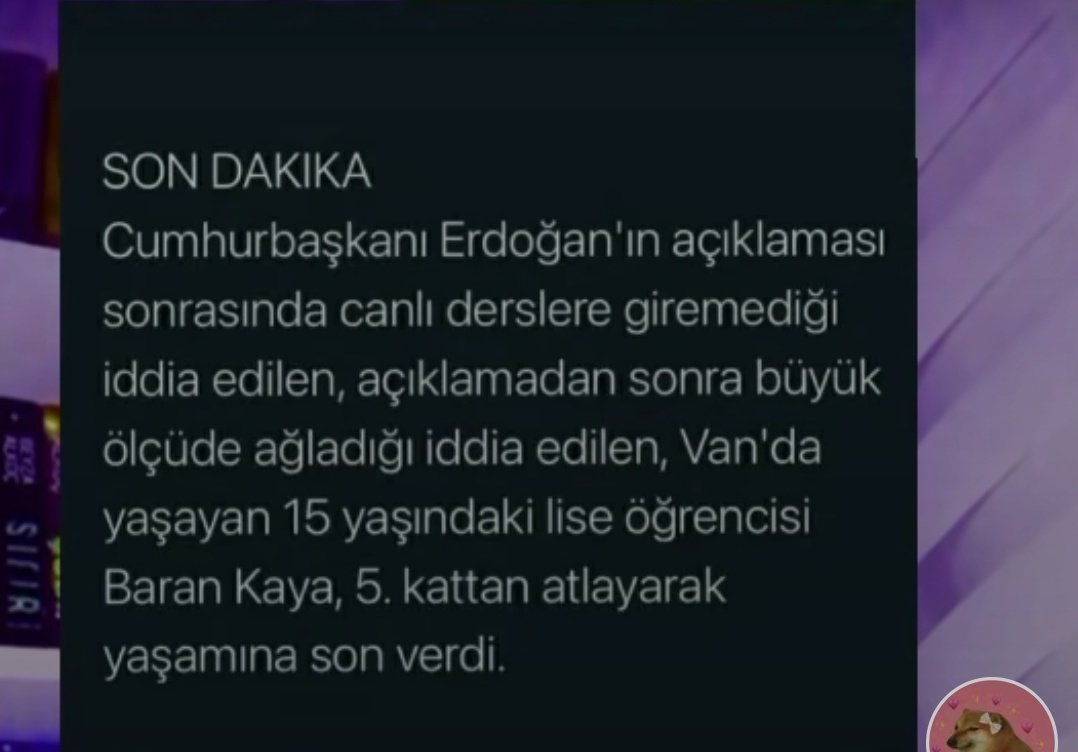__misslavinia1's tweet photo. Gen Z çok iyi olacak falan deniyo ama iyi olacak kadar yaşayacak miyiz orası ayrı bir konu..  #ZKusagiUnutmaz https://t.co/fh0QrdIU9d