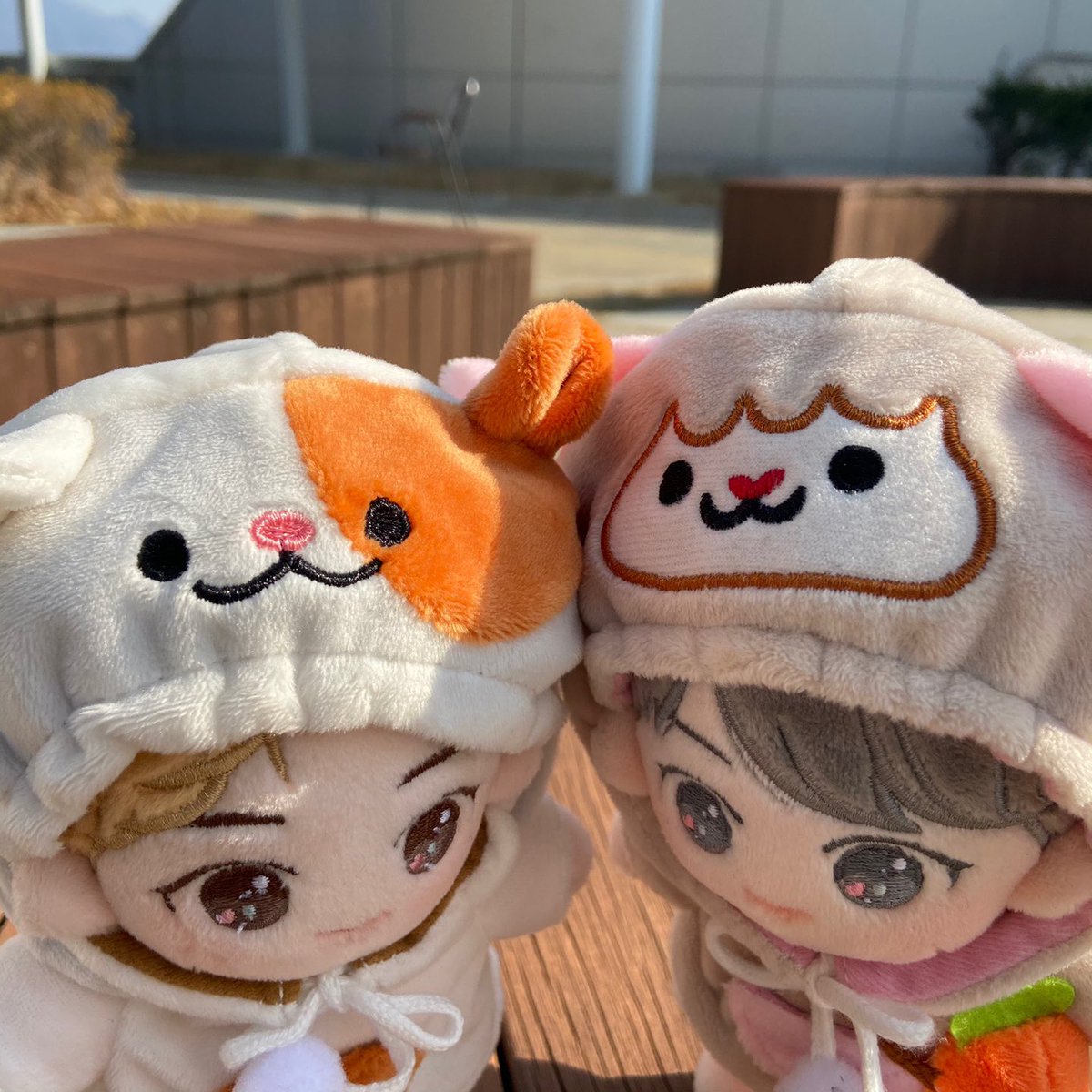 ♥️신상후드♥️