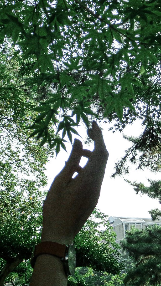 jujubephoto's tweet photo. #photography https://t.co/KQslxzWwc6