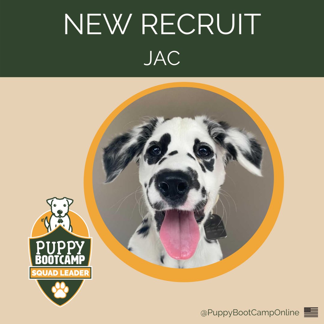 🪖🐾🇺🇲 Welcome, Jac! #puppy #puppytrainingtips