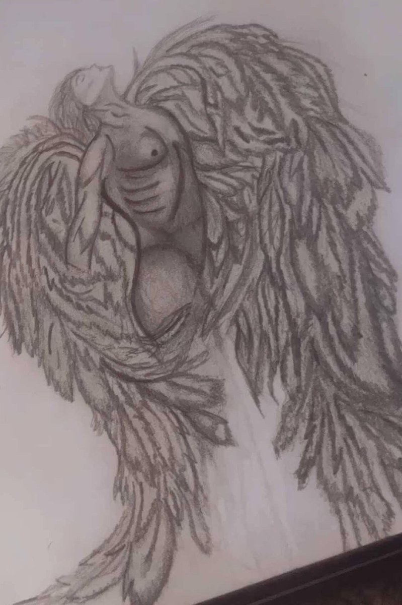 Willows Art tweet media
