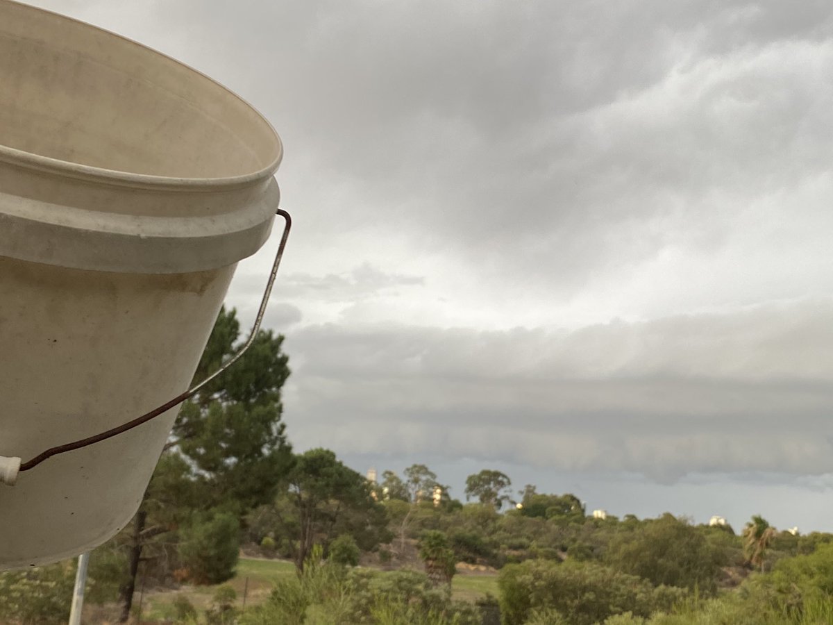 PerthRainBucket's tweet photo. Looking forward to getting moist... #perthstorm https://t.co/AVrAAFTxWE