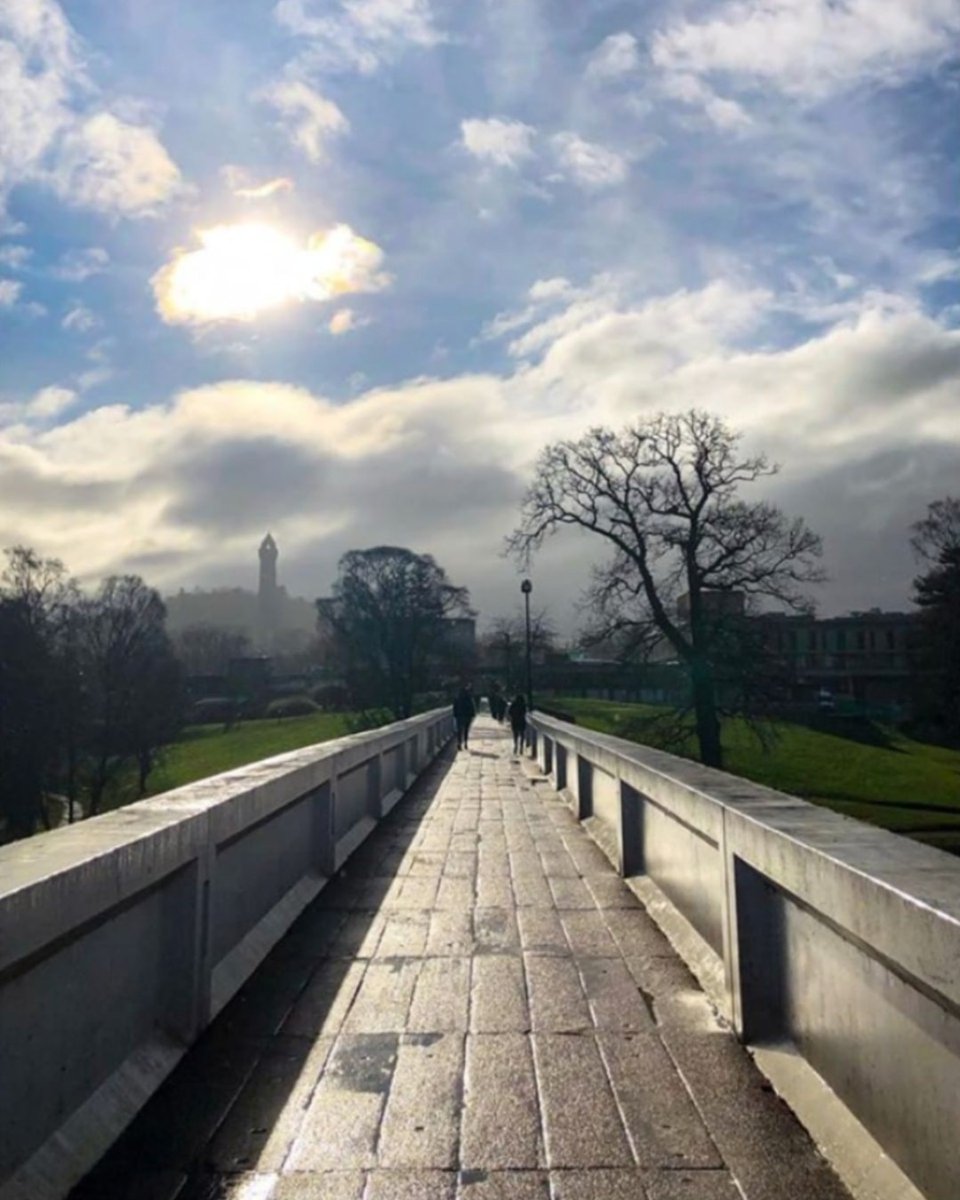 StirUni's tweet photo. We LOVE this photo by @_sreejitpramanik_ 😍 #IGStirUni https://t.co/mjpV7scIBH