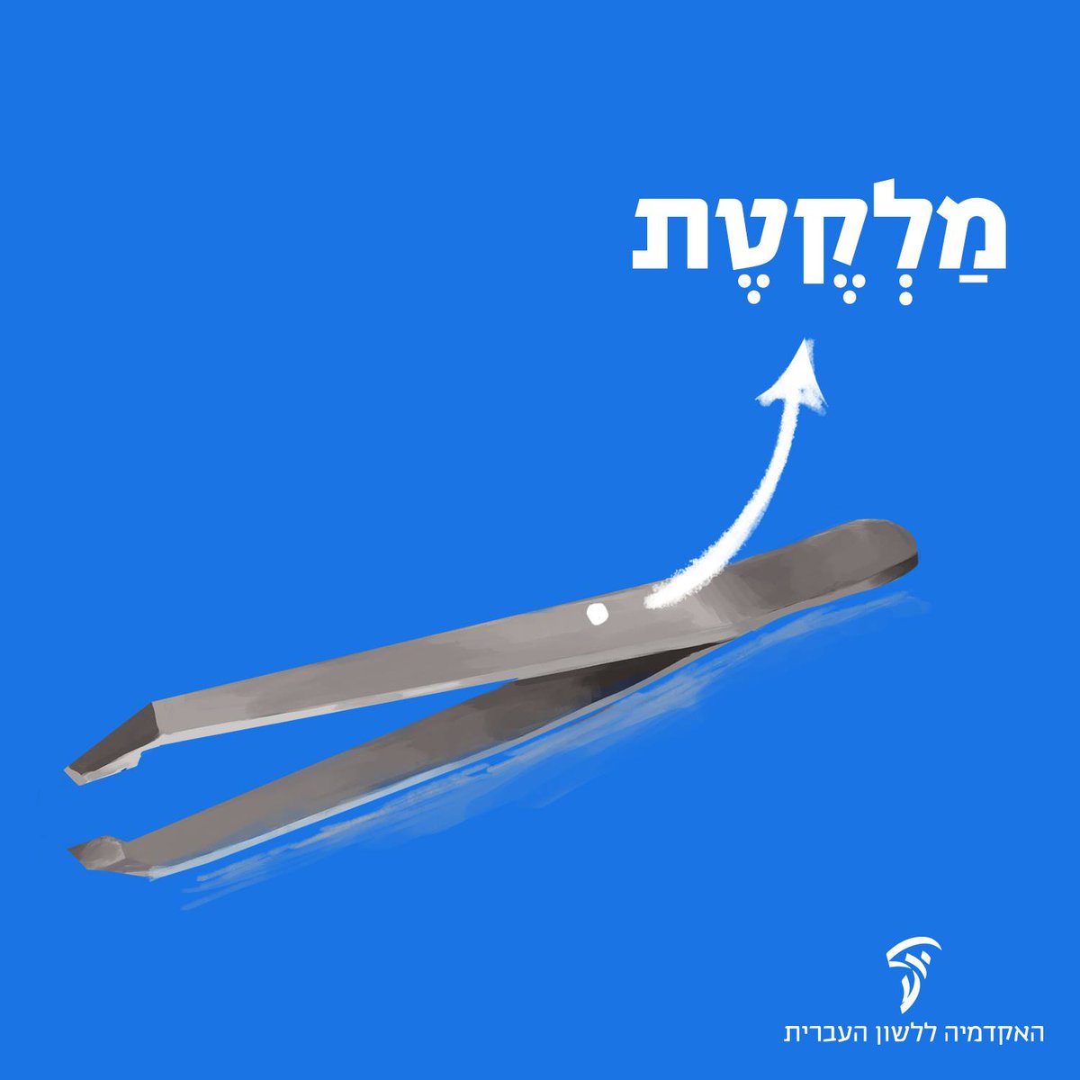 מילה להכיר – מַלְקֶטֶת
טוב לדעת כי גם בתחום הטיפוח והתשפורת העברית כאן לשירותנו, והחלופה העברית לפינצטה היא מַלְקֶטֶת.
אולי תתעניינו לגלות כי המילה מלקטת מתועדת כבר במשנה בהקשר של תלישת שערות מן הזקן. היא דומה בצורתה למילים אחרות המציינות מכשירים: מפסלת, מדפסת.
#מילה_להכיר https://t.co/DkF8CgvvAu