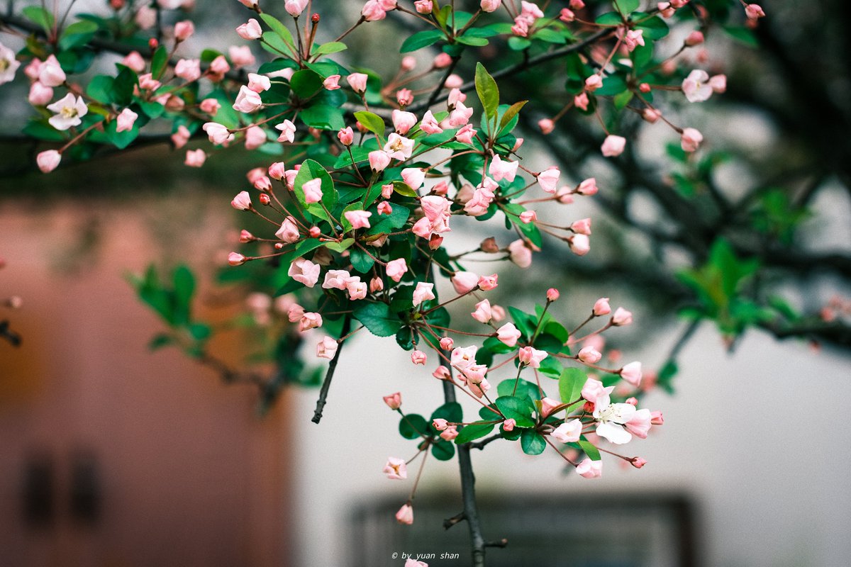 TTArtisanCN's tweet photo. Photos shared by user ้ ๅฑฑ่ด้
FUJIFILM Xpro-3 + TTArtisan 50mm f0.95
He really likes the color of Fuji camera, which saves the tediousness of the later stage. Do you also think so?
.
.
.
#ttartisan50mmf095 #largeaperture #lowlight #fujixpro3 #color #easyshoot #noretouching https://t.co/0hIJFh91U3