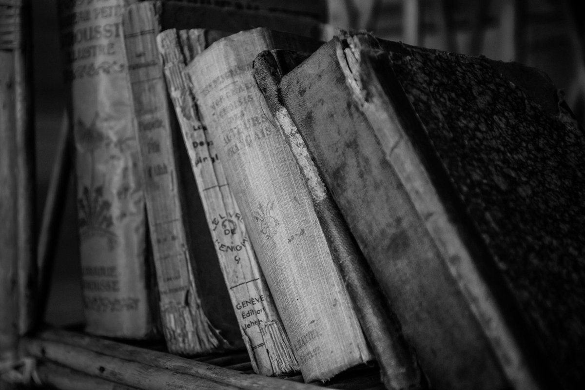 VIQTOR DAVIS UK tweet media