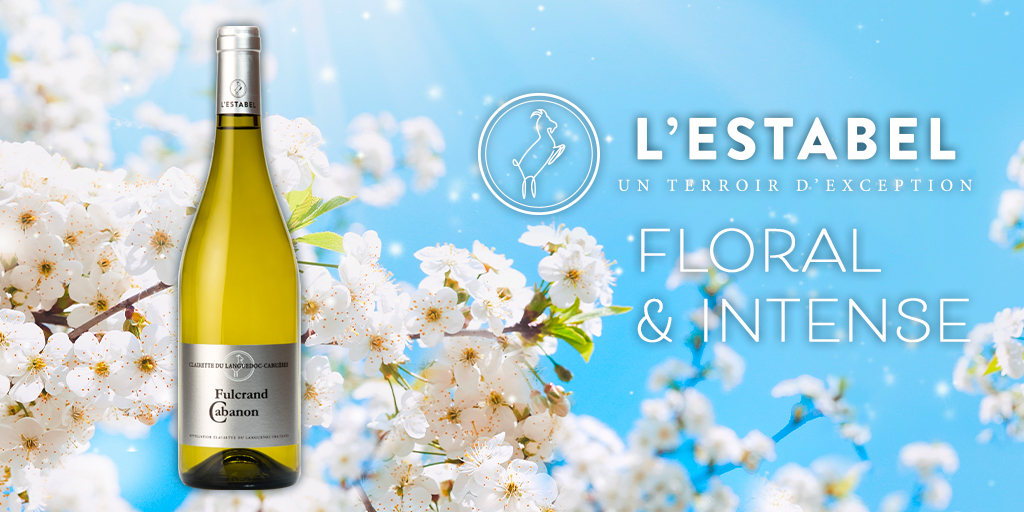 L__Estabel's tweet photo. Le printemps arrive!
Laissez-vous tenter par le Fulcrand Cabanon #blanc #AOP #Clairette du #Languedoc, qui sera parfait pour les beaux jours avec ses arômes de fleurs blanche intense et sa finale sur le pamplemousse!
https://t.co/u3WKsNvLdD
#Cabrières #schiste #randonnée #AOC https://t.co/Yj2XzkWGaw