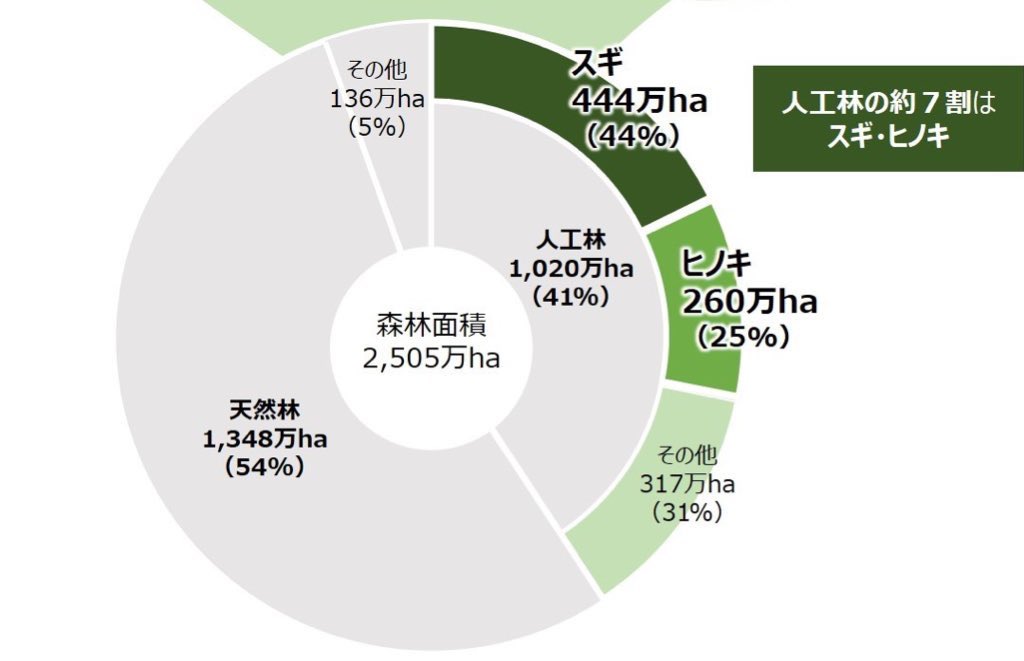 麹 On Twitter 5 000いいね ありがとうございます 前ツイで概算133億本と出しましたが 植栽後に間伐をして 最終的には600本 Ha程度まで減るそうです なので 133億本 3 000 600 26 6億本が正当な概算 やった すごい減った Https T Co