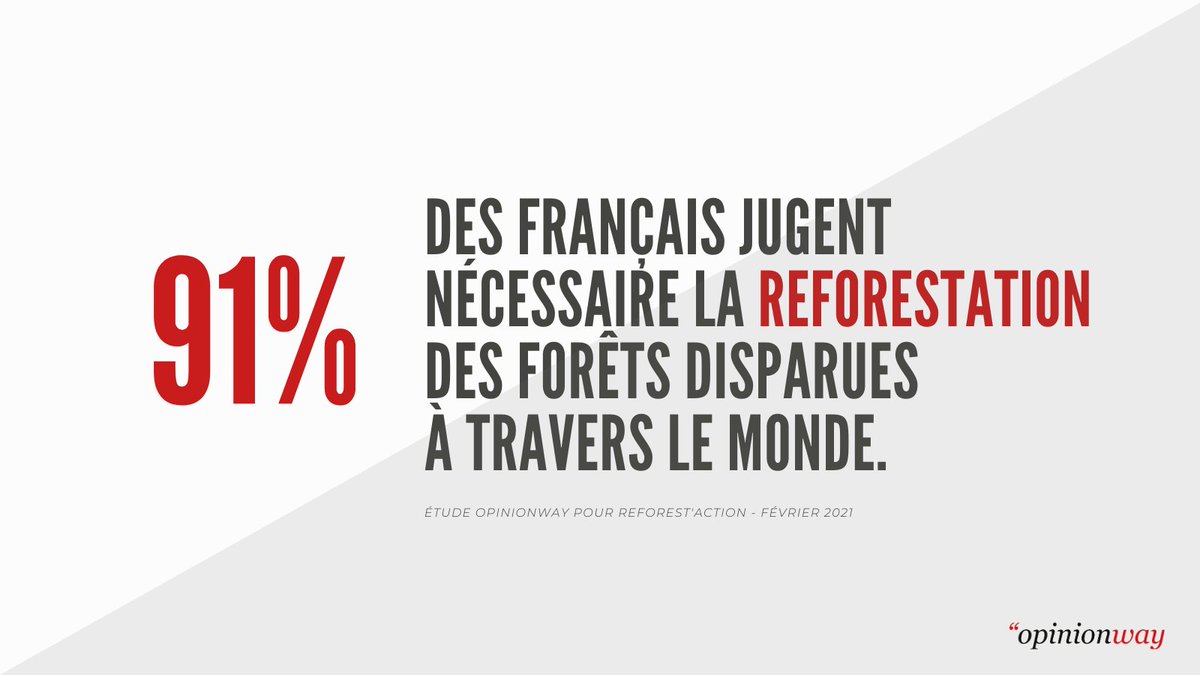 opinionway's tweet photo. [ ENVIRONNEMENT ] 91% des Français jugent nécessaire la #reforestation des #forêts disparues à travers le monde, d'après notre étude pour @reforestaction 
Résultats détaillés 👉 https://t.co/TGBD9NjBD3
CP 👉 https://t.co/SgAdyyNFLq
@opendiplo #GlobalForestSummit https://t.co/ox9O3mqe6d