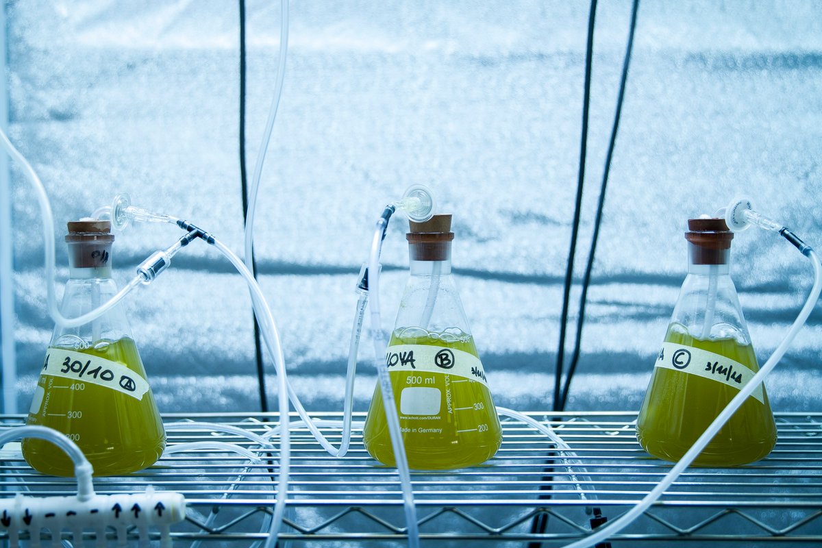 Il nostro lab #AGRO ha ottenuto il mantenimento dell'accreditamento per tutti gli 11 metodi di prova dall'ente di accreditamento #ACCREDIA.
#DNACONTROLLATO per certificare qualità e salubrità dei prodotti agroalimentari.
#ricercaaserviziodelterritorio #agrihub #foodsecurity