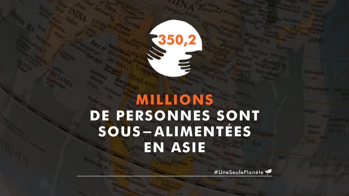 Aujourd'hui encore, la faim demeure un problème mondial. 

Les limites de nos systèmes agricole et alimentaire ne sont plus à prouver. On veut un système plus vertueux.

Pour nous, une seule solution : l'écologie intégrale.🌱