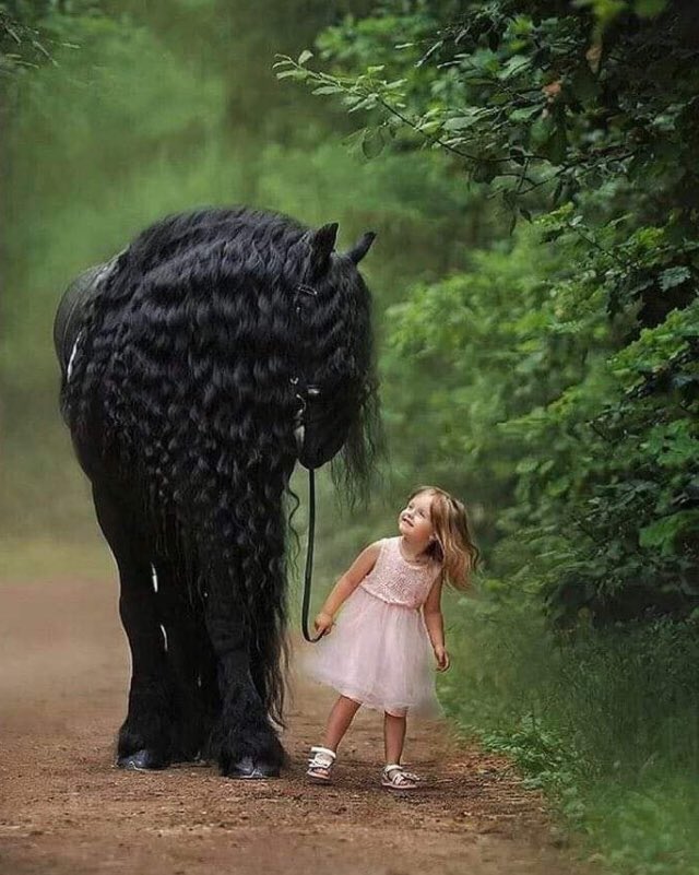 StillPoint1301's tweet image. 