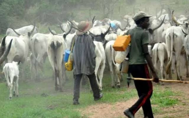 Kun kori Fulani a kudu yanzu kuma na ta gagareku in ba wawayeba ways dai kori nama yazoyana kuka