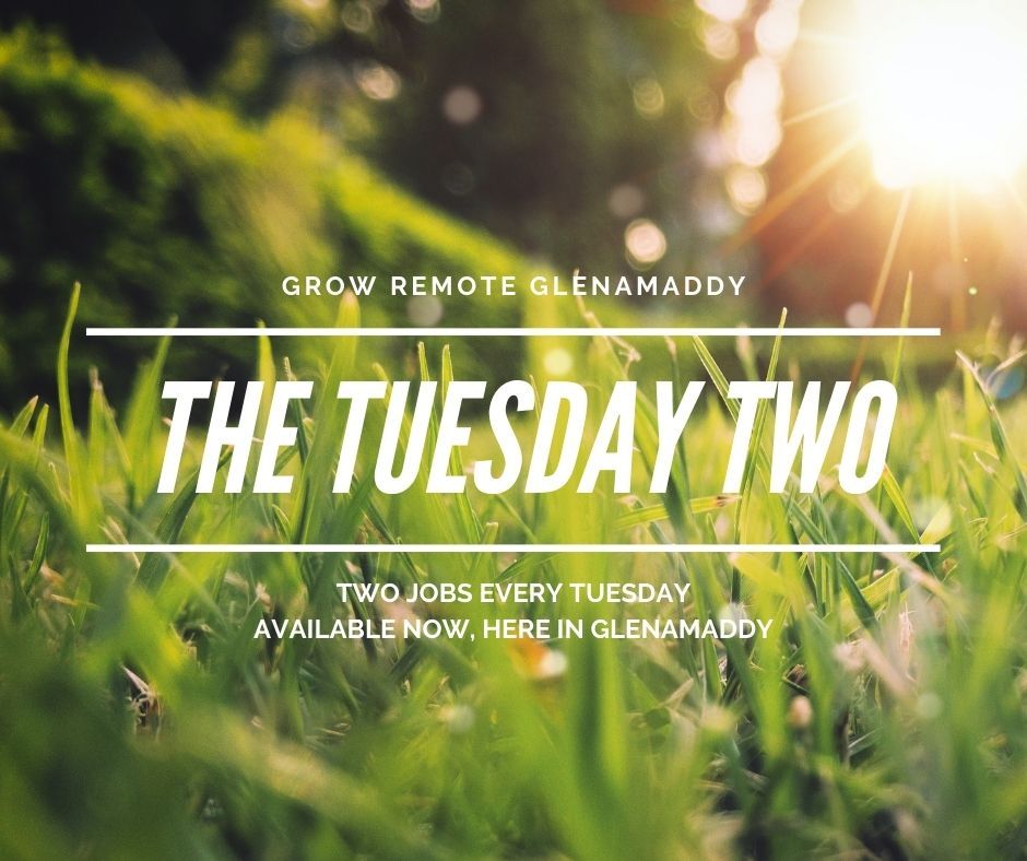 GRGlenamaddy's tweet image. Looking for a new #remote role? Work here 👇, live anywhere 🏞️
1) Digital Marketing Executive @KilkennyShop 
jobs.growremote.ie/job/kilkenny-g…
2) Quality &amp;amp; Compliance Officer @ALONE_IRELAND 
jobs.growremote.ie/job/alone-qual…

Find more jobs at jobs.growremote.ie
#RemoteWork #MoreToLife