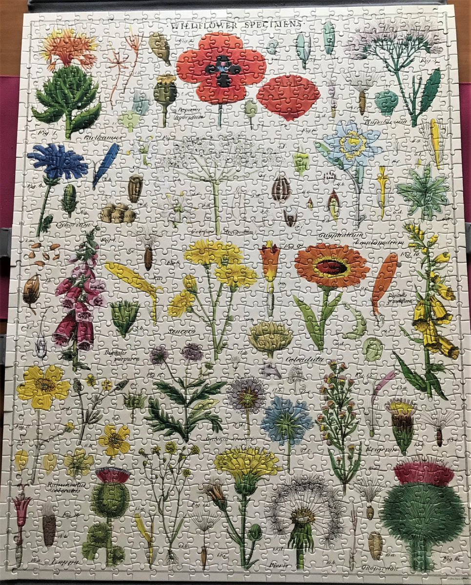 IreneSandraD's tweet photo. #LockdownPastime #jigsaws #wildflowers Hooray, finished at last! https://t.co/bQRKWa3iul