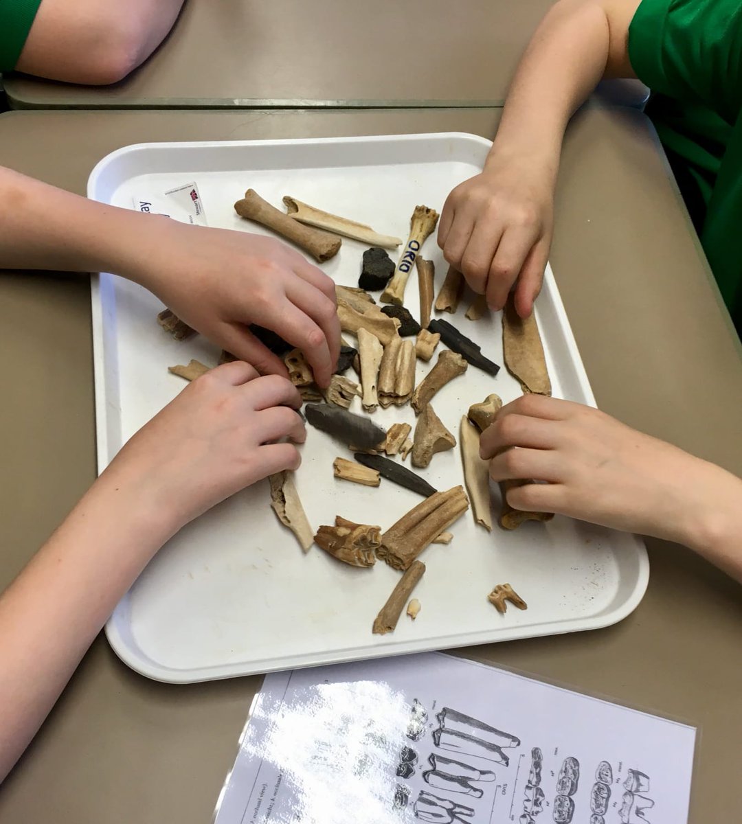 Dave 💙 tweet media