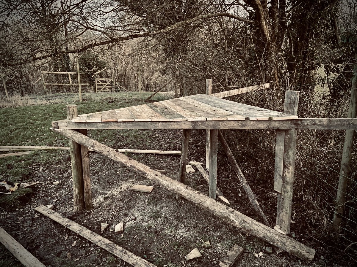 longwaite's tweet photo. 🌳 Treehouse... or the start of one anyway... https://t.co/HYyrgxhx7e