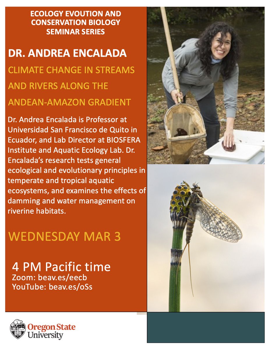 Dave Lytle tweet media