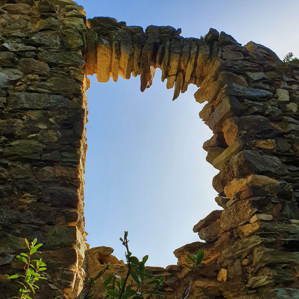 GeniuGherardi's tweet photo. Trà celu, muntagna è mare... Ciò chì ferma di u cunventu franciscanu di Marianda, in #Ferringule, #Capicorsu, #Corsica
Les vestiges du couvent #franciscain de Marianda, #Farinole, #CapCorse. https://t.co/SIYHFdQBHU