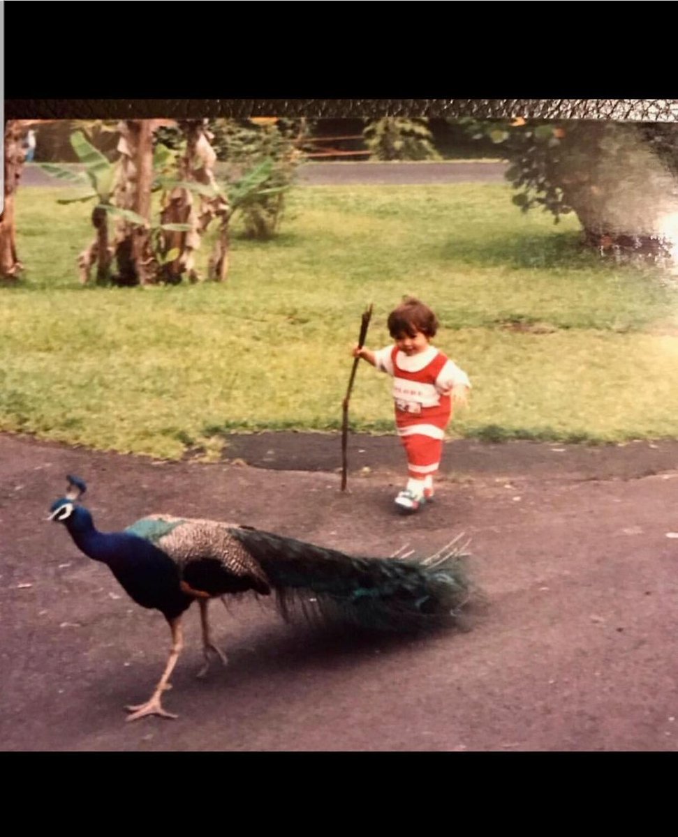 <a href="/DaddyAndreJoeB/">Daniel Brouillette</a> Also Peacock...