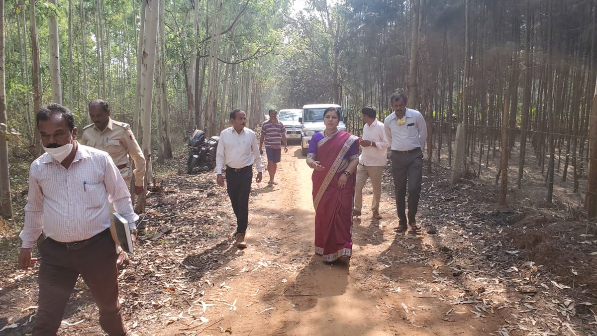 Itharaanooradha's tweet photo. A few memories captured during my visit to inspection of plantation at Bikkonahalli, Shivamogga. Its a great pleasure that I have gotten an opportunity to preserve and contribute to development of the forests of Karnataka through KFDC.
#kfdc #BJP #forestsofkarnataka https://t.co/rxUywEK2hf