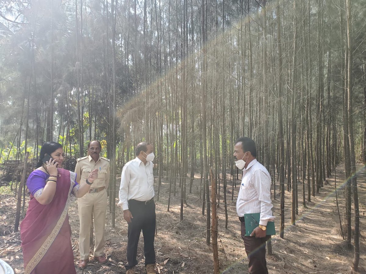 Itharaanooradha's tweet photo. A few memories captured during my visit to inspection of plantation at Bikkonahalli, Shivamogga. Its a great pleasure that I have gotten an opportunity to preserve and contribute to development of the forests of Karnataka through KFDC.
#kfdc #BJP #forestsofkarnataka https://t.co/rxUywEK2hf