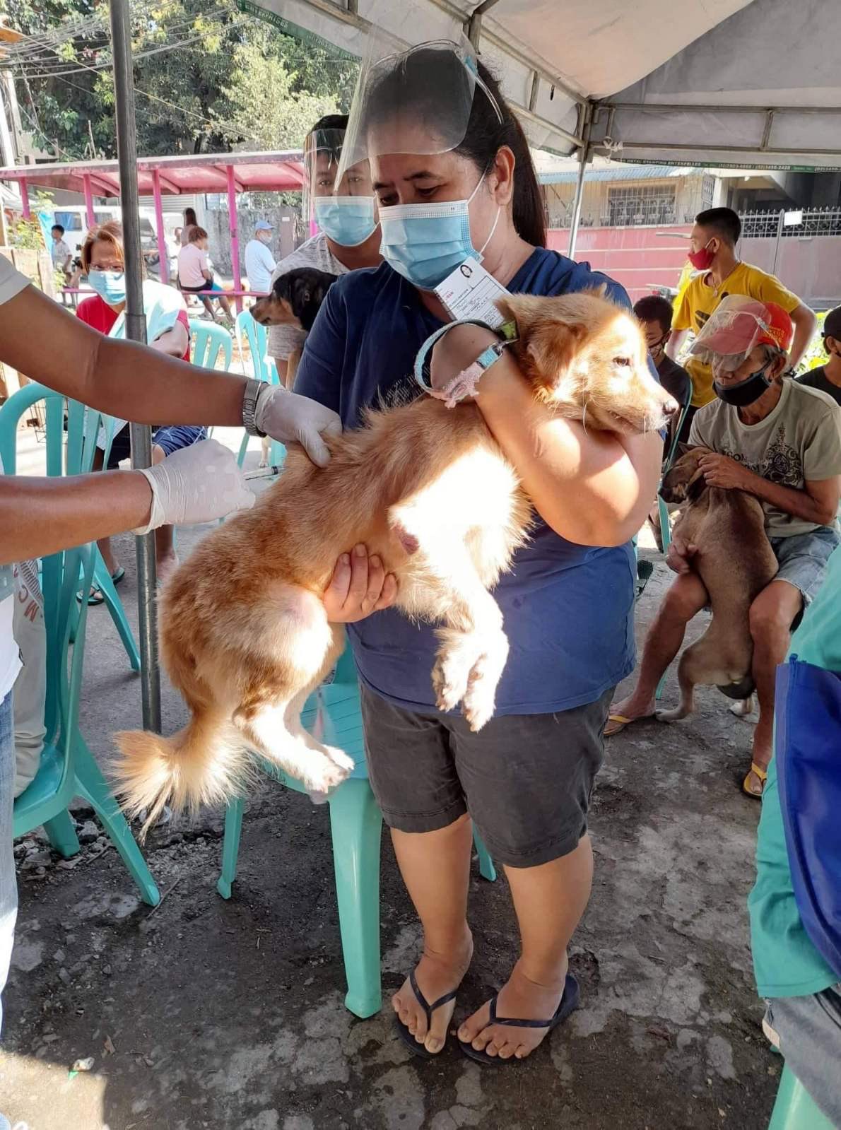 Quezon City Government on Twitter "QCitizens mula sa District 1 & 5