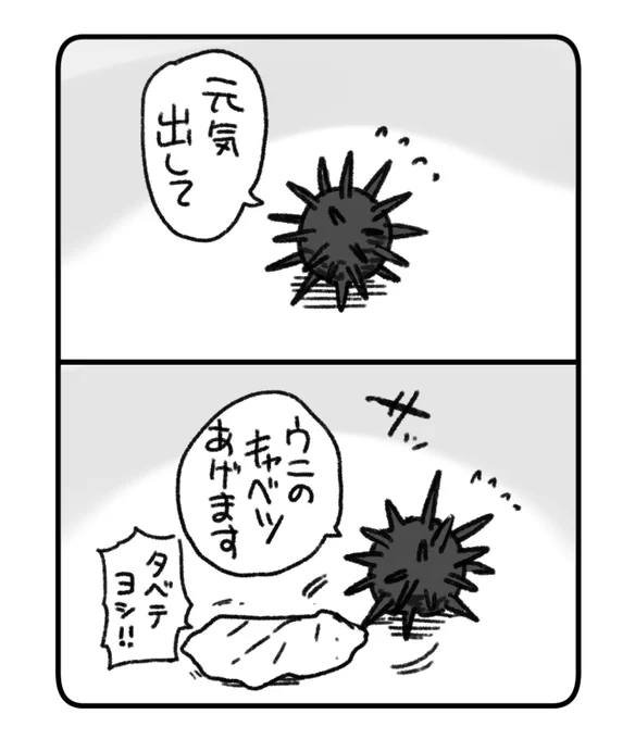 励ますウニ 