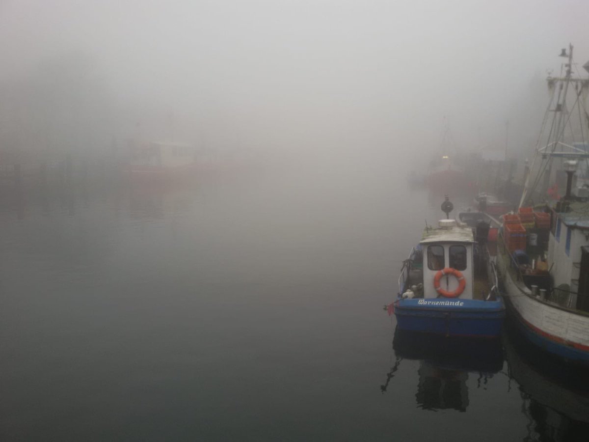 meteoHRO - Wetter MV tweet media