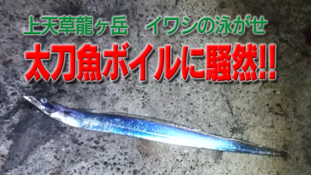TV40379052's tweet photo. 【太刀魚のボイルに騒然】 上天草市龍ヶ岳でイワシの泳がせ釣りアップしました。

#イワシの泳がせ #太刀魚釣り #夜釣り #熊本県上天草市龍ヶ岳町 #太刀魚のボイル https://t.co/kusgCPuSRn