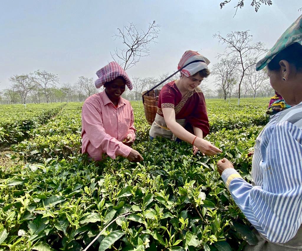 priyankagandhi's tweet photo. चाय बागान के श्रमिकों का जीवन सच्चाई एवं सादगी से भरा हुआ है एवं उनका श्रम देश के लिए बहुमूल्य है। 

आज उनके संग बैठकर उनके कामकाज, घर परिवार का हालचाल जाना और उनके जीवन की कठिनाइयों को महसूस किया।

उनसे मिला प्रेम और ये आत्मीयता नहीं भूलूँगी https://t.co/i99byrBtXn