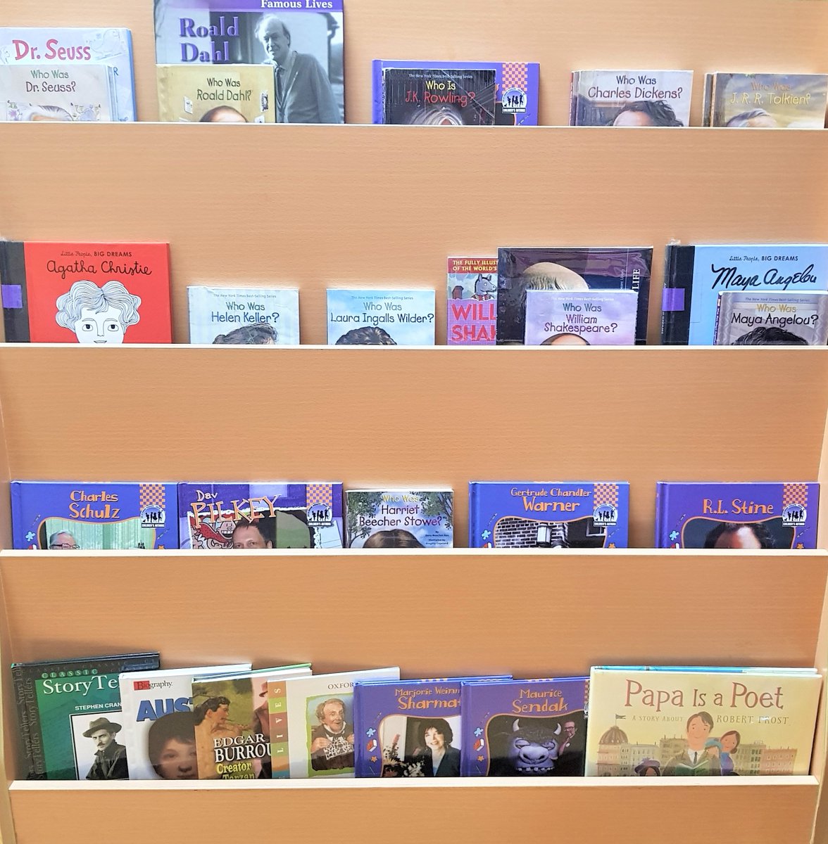 Library | Raffles International School tweet media