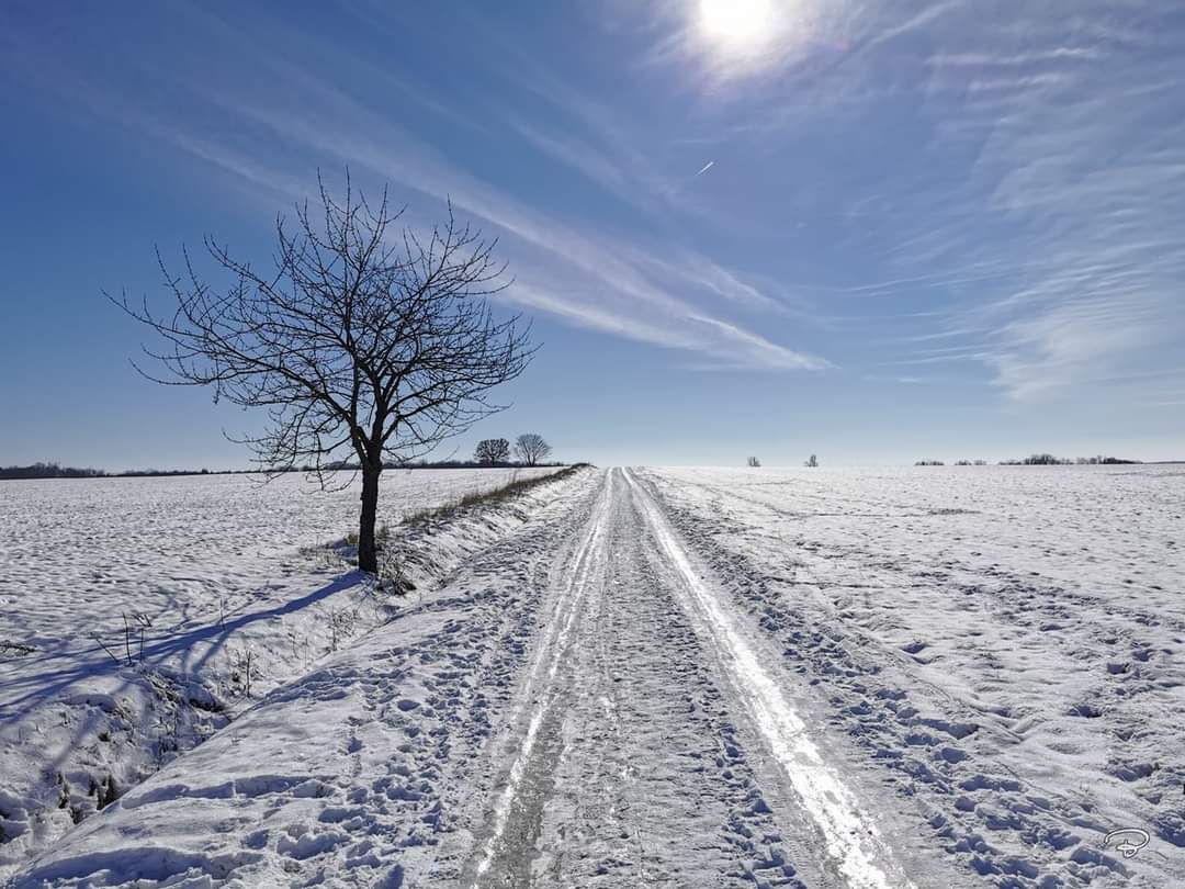 benictures's tweet photo. SNOW AND ICE
#snow #ice #reflections #way #path #sunshine #bluesky #clouds #cold #frozen #tree #white #winterwonderland #winter #ontheway #love #landscape #Landschaft #Photographie #photography https://t.co/pHmExIjoJH