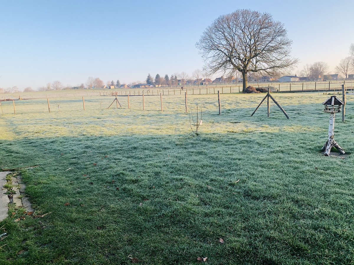 SWeerfoto's tweet photo. #vrtweer @frankdeboosere  @sabinehagedoren @meteoBram   Zottegem 8u10 wind O  5 km/ u  temperatuur 1*C  en zelfde gevoelstemperatuur   Grond vorst https://t.co/pwCpLWfaC9