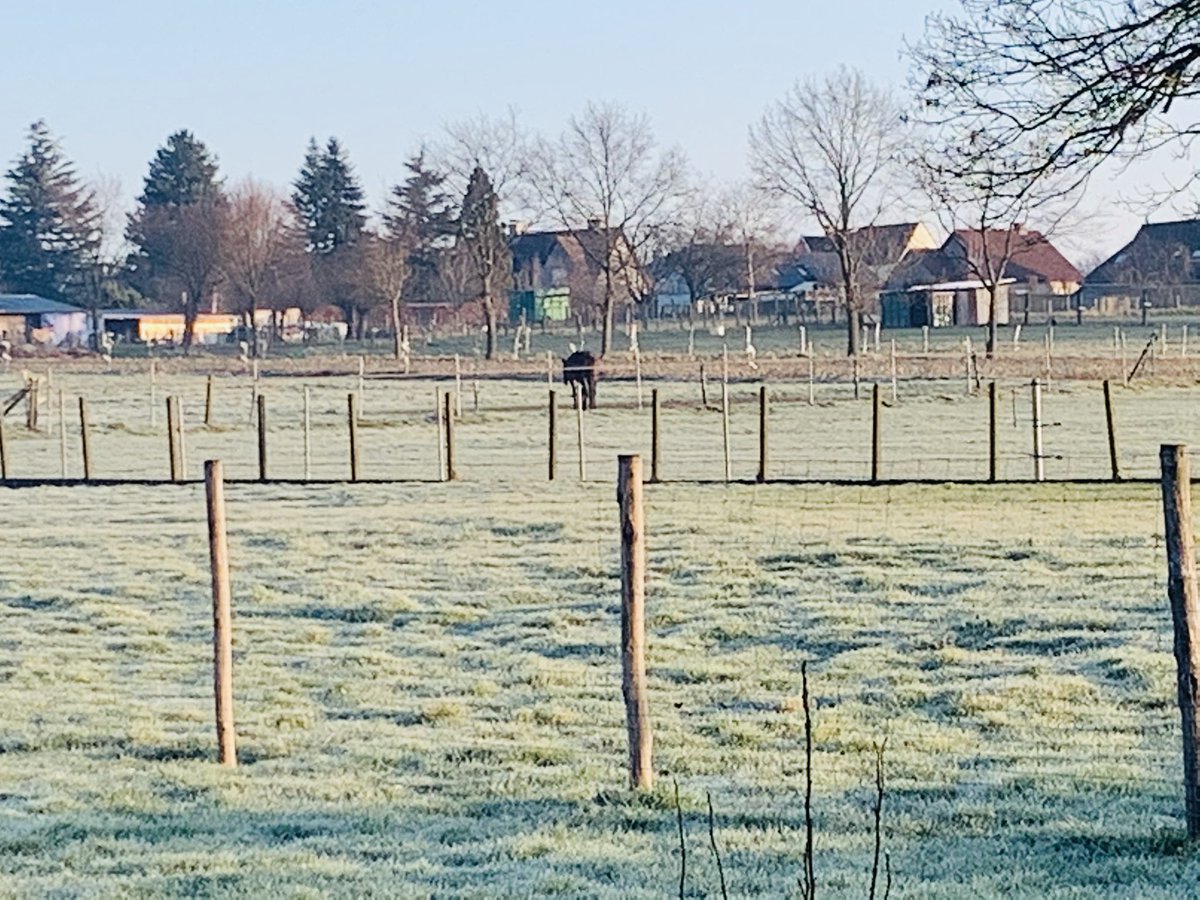 #vrtweer <a href="/frankdeboosere/">Frank Deboosere</a>  <a href="/sabinehagedoren/">Sabine Hagedoren</a> <a href="/meteoBram/">Bram Verbruggen</a>   Zottegem 8u10 wind O  5 km/ u  temperatuur 1*C  en zelfde gevoelstemperatuur   Grond vorst