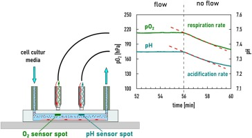 MayrLab - Torsten Mayr tweet media
