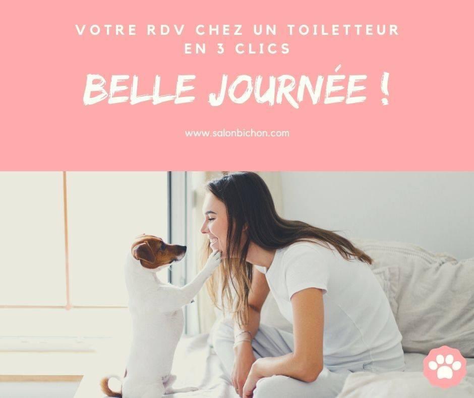 BichonSalon's tweet photo. Un rdv avec un toiletteur pour votre chien ou votre chat ✂️🐶🐱✂️? Venez sur : https://t.co/CvYl3Ny2dk afin de prendre RDV en 3 clics avec un toiletteur proche de chez vous #rdvenligne #salonbichon #animaldecompagnie #chien #chat #toilettage #toiletteur https://t.co/kz6NpWvRnf