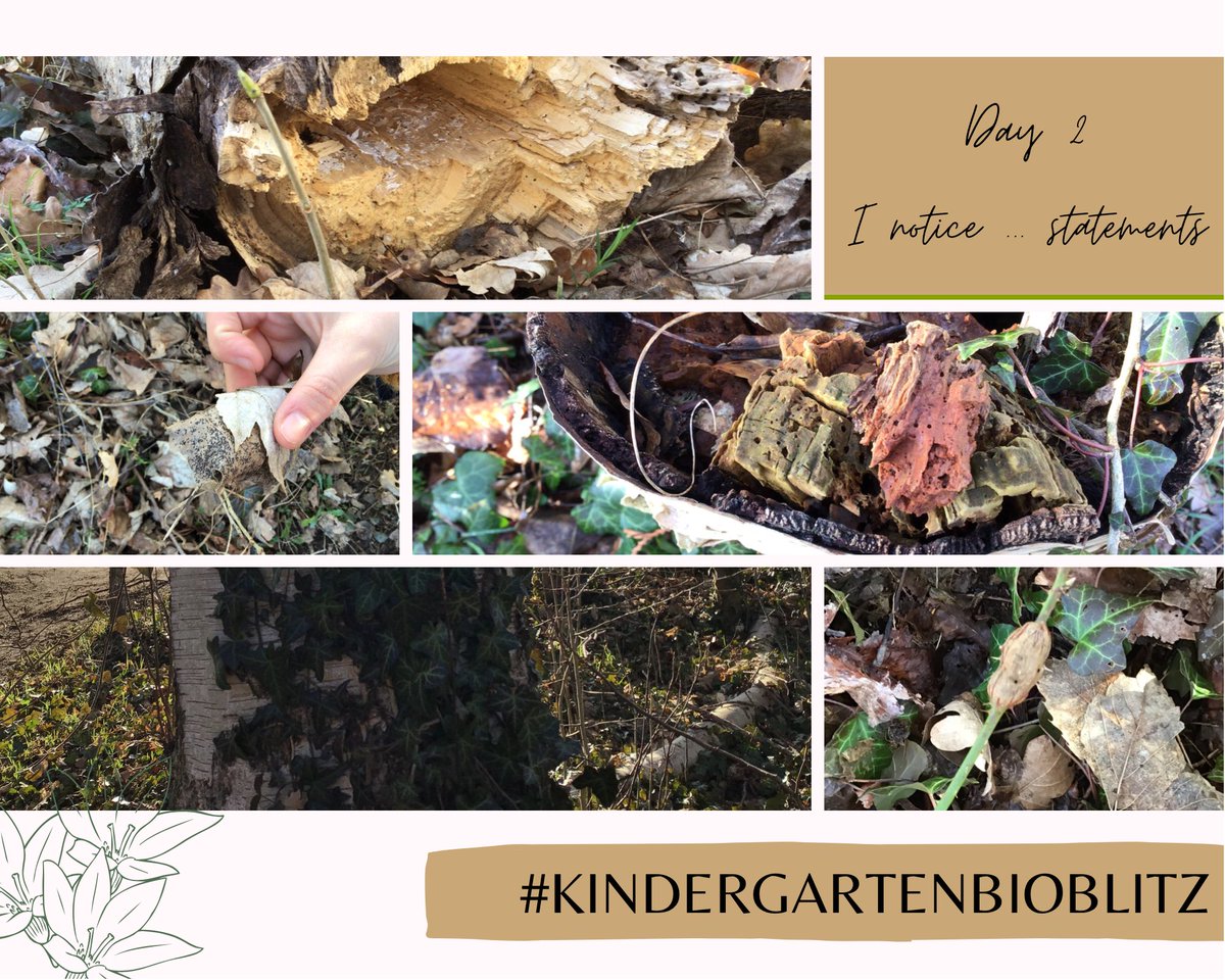 _Sara_Goelen_'s tweet photo. Dag 2 ‘Ik merk op...’
#KinderGartenBioBlitz #BioBlitz #KinderBioBlitz https://t.co/rIE9OpHwV9