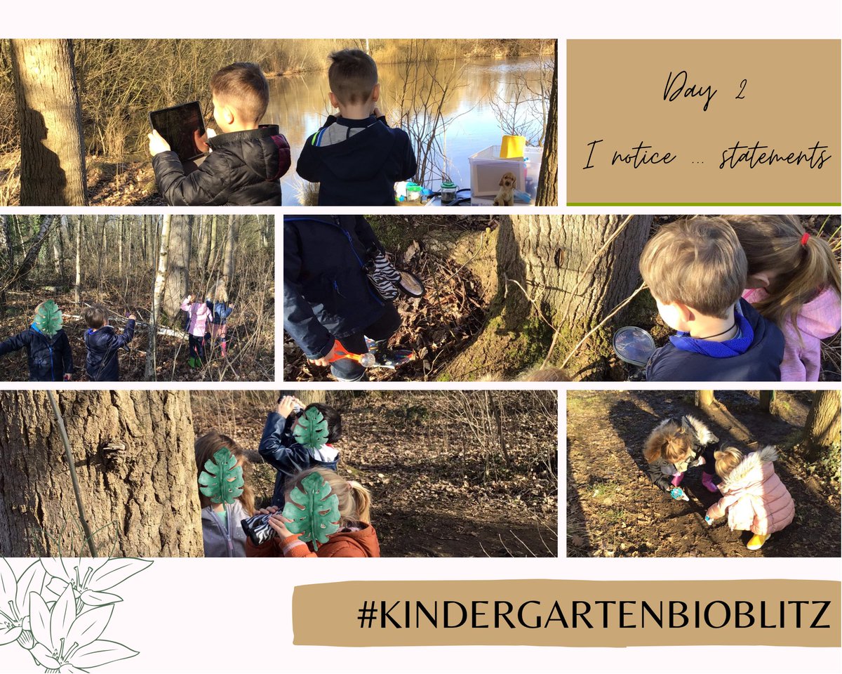 _Sara_Goelen_'s tweet photo. Dag 2 ‘Ik merk op...’
#KinderGartenBioBlitz #BioBlitz #KinderBioBlitz https://t.co/rIE9OpHwV9