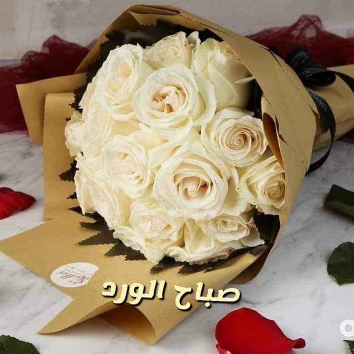 M_N_F_G's tweet photo. @vinbdjYjuwRA9xX يسعد صباحك وقلبك يارب 🌷🌷🌷 https://t.co/6CfyQLV9Pa