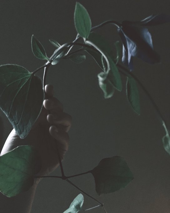 Etcaetraさんのイラスト一覧