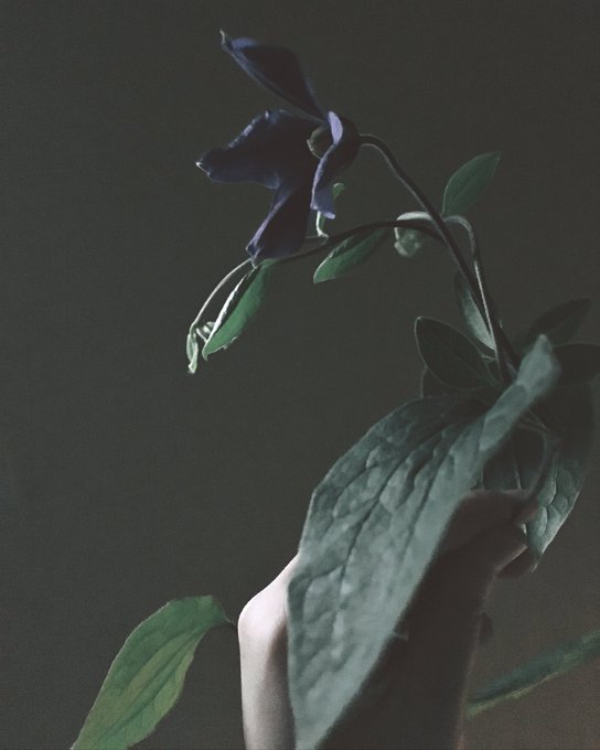 Etcaetraさんのイラスト一覧