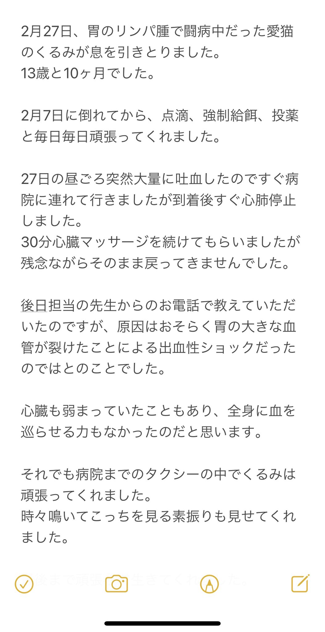 Twitter 上的 福地翼 Goldenspiral ご報告 T Co Jx6aall66a Twitter