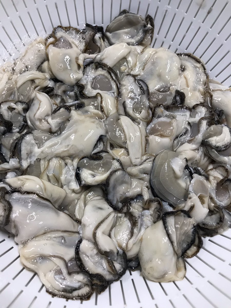 漁師さん直仕入れカキ販売所オイスタロー 11 1open Oisutaro1101 Twitter