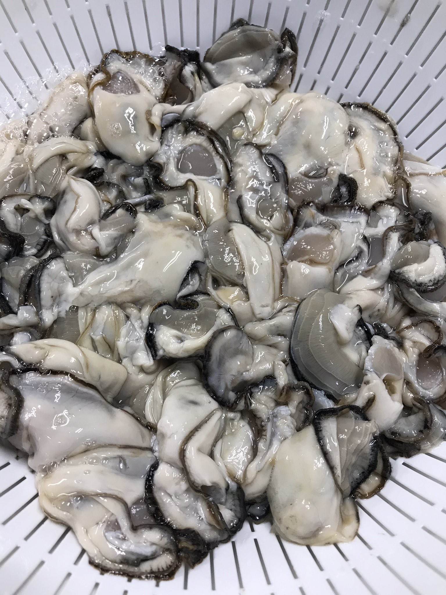 漁師さん直仕入れカキ販売所オイスタロー 11 1open 牡蠣飯は本店 観音寺店ともに志度鴨庄産のむき身をふんだんに使っています 一升に1kg使っていますので牡蠣たっぷり 本店 テイクアウト 火曜休 観音寺店 牡蠣小屋