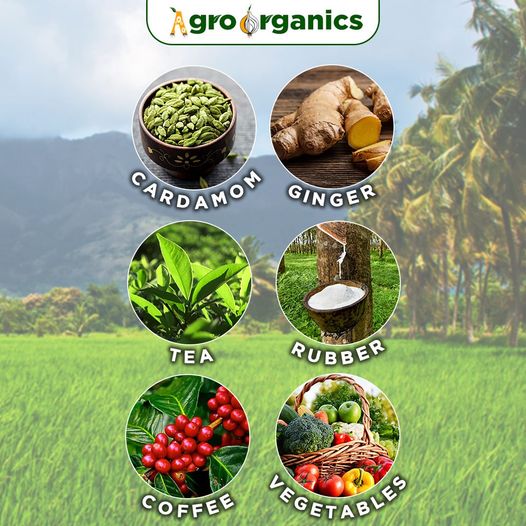 Agro Organics
agroorganics.in
+91 9786600838

#organicfertilizers #fertilizers #plants #organic #micronutrients #organicfarming #ecofriendly #safeorganicfertilizers #farmingsprayers #plantgrowthregulators