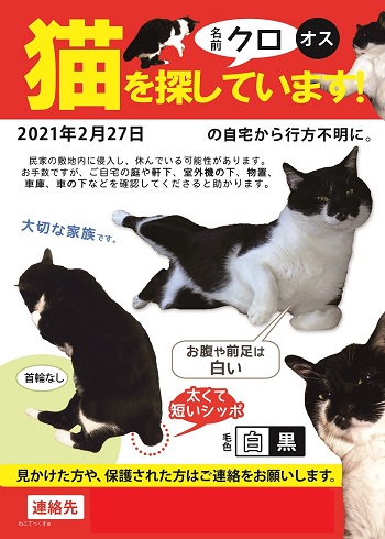 necotex's tweet photo. 【迷子猫】 クロちゃんを探しています。2/27。埼玉県で迷子に。白黒猫の男の子。背中は黒、お腹は白。首輪なし。短い尻尾。目撃、保護情報をお待ちしています。#迷子猫　#迷い猫　#飼い猫　#白黒猫　#黒白猫　#黒猫　#首輪なし　#オス　#埼玉県　#ふじみ野市　#ふじみ野　#川越 https://t.co/On7ztfPMEX